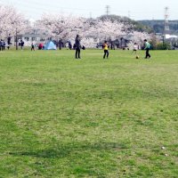 サービスと交流創出へ　新施設の設置事業者募集　市原市「ちはら台公園」