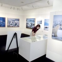 自然・動物との境界超越　ゆかりの市川でパネルや愛用品　写真家・星野道夫　生誕７０年展