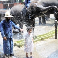 【速報】市原・佐倉３８・０度　今年の県内最高気温、各地で猛烈な暑さ　熱中症で３４人搬送