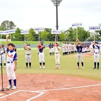 頂点目指し４８チーム熱戦　千葉県少年野球大会開幕