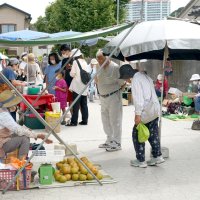 関東で人口最少の市　若者つなぎ留められず　【勝浦市の課題　８・２８市長選】