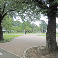 約４５万平方メートルの敷地には杉やブナなどの木々が生い茂り、四季の移ろいを身近に味わえる。
