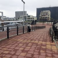 水上ナイトショー　屋台や音楽ライブ　４日「さんばしまつり」千葉市中央区　