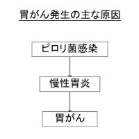 発生予防に除菌を　慢性胃炎進行時は注意　胃がん（１）　千葉県がんセンター内視鏡科医長　北川善康　【９月はがん征圧月間　ちば　がんにうち克つ】（１）