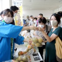 ７分で売り切れ！　ひょう被害の梨１００キロ販売　松戸