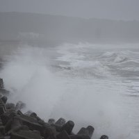【速報】台風１４号、千葉県内２０日朝に最接近　ＪＲ内房線など始発から一部運転取りやめ　通勤通学に影響も