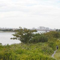 ＜松戸女児不明＞住民ら「言葉にならない」　江戸川で子どもとみられる遺体　無事の発見願う声