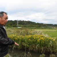鹿島川の土手で、房総豪雨で浸水した水田地帯を前に当時のことを語る密本さん＝佐倉市
