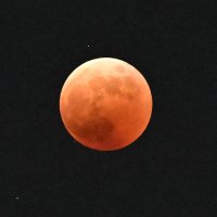 ４４２年ぶり夜空の共演　皆既月食と天王星食　千葉県内でも観測