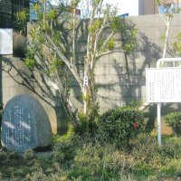 武蔵野病院に入院　太宰治と船橋（１１）　中谷順子　【房総の作家】