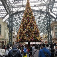 ３年ぶりに復活した東京ディズニーランドのクリスマスツリー＝浦安市