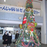 今冬も手作り３．５メートルツリー　八千代中　環境整備員中西さん丹精込め　年々“進化”　風物詩に