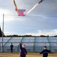 長南袖凧舞い揚がれ　伝統次世代へ中学生作成