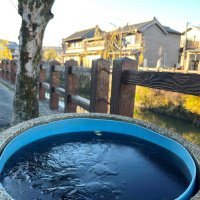 香取市の小野川沿いでは水に氷が張った＝２７日午前８時ごろ、同市