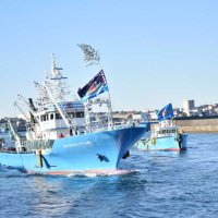 大漁旗なびかせ海へ　年始恒例の漕出式、安全と豊漁願う　銚子