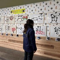 ゆめ花が書いた「十二支」　３１日まで特別展　市原ぞうの国