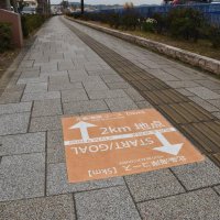「北条海岸コース」のスタート・ゴール地点に設置された路面シート
