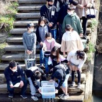 「バイバイ」「元気に育って」　育てたサケの稚魚放流　千葉県内外の４６０人、回帰願い　睦沢・瑞沢川