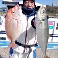 飯岡アジ、ハナダイ好感触　外川ヒラメ安定　【今週の釣果】
