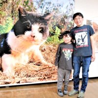ウマく撮れた　厩舎のネコ　船橋競馬場厩務員・津乗さん４年ぶり写真展　４月２日まで