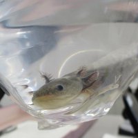 拾得物、現金９億５０００万円超で過去最多　『たんす預金』遺品に紛れ捨てられたか　１５万点増９５万点　コロナ禍も人流回復で　千葉県警２２年まとめ