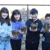 袖ケ浦を花いっぱいに　奈良輪小児童の提案きっかけ　夢描き、ユリの球根植栽