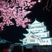 ４年ぶり「千葉城さくら祭り」開催へ　ご当地グルメやライトアップも　２５日から、千葉市・亥鼻公園
