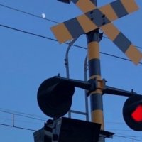 踏切で男性はねられ死亡　ＪＲ内房線