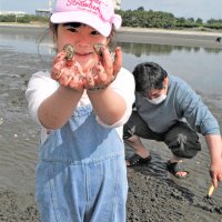 「大きいの見つけたよ」と、潮干狩りに笑顔の女の子＝１８日、船橋市のふなばし三番瀬海浜公園
