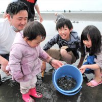 船橋・三番瀬で潮干狩りスタート　「大きい貝見つけた！」　ＧＷ中も開催