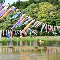 青空優雅に泳ぐ　こいのぼり１００匹　香取・橘ふれあい公園