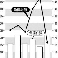 倒産２２件、負債１７億円　返済不安で“諦め型”　千葉県内３月