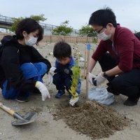 保安林再生へ２５００本植樹　千葉興銀、山武市で