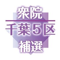 自民「逆風厳しく」薄氷勝利　乱立野党、共闘に課題　各党県トップ総括　【衆院選千葉５区補選】