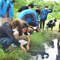 サンショウウオ１００匹放流　絶滅の恐れ、学生ら保護へ　長南「森の墓苑」