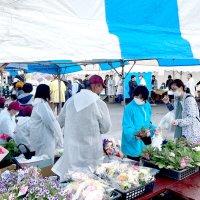 ４年ぶり大創業祭盛況　香取・水の郷さわら