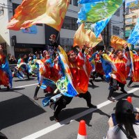 迫力の演舞沿道に笑顔　ＹＯＳＡＫＯＩ木更津舞尊　４年ぶり２７チーム躍動
