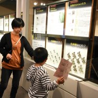 外来昆虫約３０種紹介　見分け方や問題を解説　千葉県立中央博