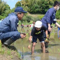 泥だらけ笑顔で田植え　大網白里　瑞穂小５年生、農家と