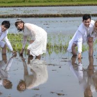 共生祈り田んぼアート　千葉県誕生１５０周年記念　結婚式も　山武