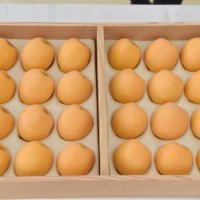 天皇陛下への献上品に選ばれた岩井枇杷組合のビワ