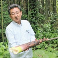 放置竹林でご当地メンマ　ノウハウ共有全国へ広がる　中房総でもタケノコ活用　厄介者おいしく食べて里山整備