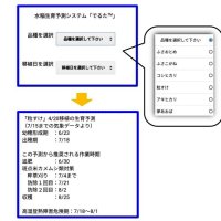 水稲生育予測システム「でるた」の使用イメージ