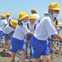 全校児童力合わせ地引き網体験　特産イワシなど“大漁”　九十九里・豊海小