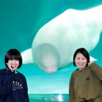 海の動物たちの寝姿、機械室…　閉館後の「裏」鴨シー探検を！　夏休みに日帰り特別プログラム　７月１５日から