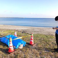 検見川の浜に打ち上げられたスナメリとみられるもの（左）＝3日午後5時半ごろ、千葉市美浜区