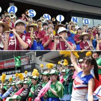 ７月２１日の記事一覧　第１０５回全国高校野球　千葉大会　第１１日