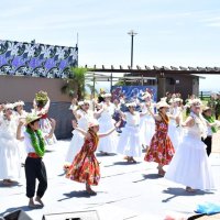 優美な踊りで南国ムード　あさひフラフェスティバル　華やか衣装、３００人参加