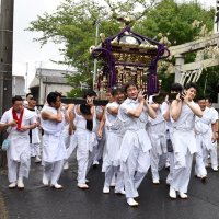 ４年ぶり小見川祇園祭　威勢良くみこし巡行