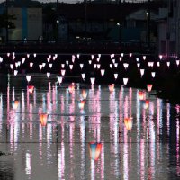 ３００個のぼんぼりが飾られた黒部川＝２２日夜、香取市